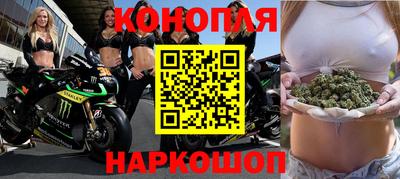 крисы Краснодар