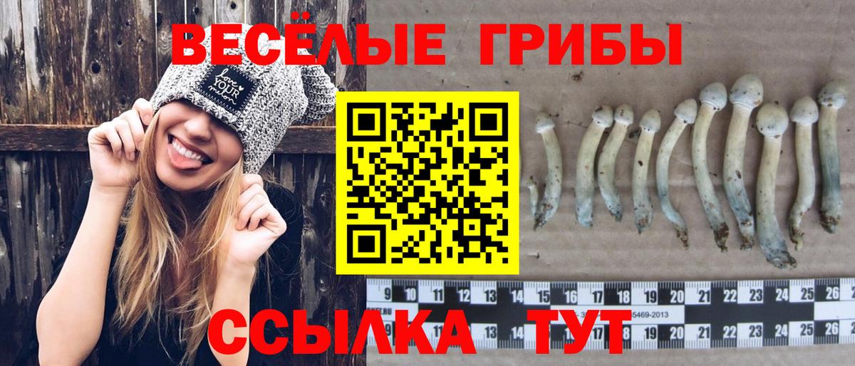 Псилоцибиновые грибы ЛСД Карачаевск