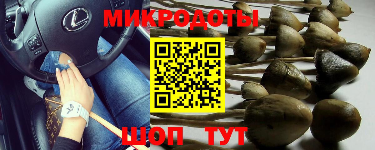 дарнет шоп  Вход с VPN  Карачаевск  Галлюциногенные грибы ЛСД 